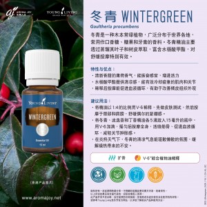 Wintergreen 冬青
