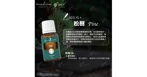 閱讀精油:松樹 Pine