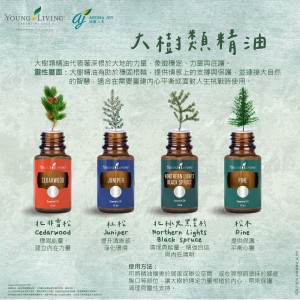 大樹類精油