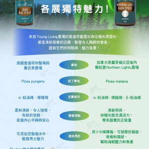 愛達荷州藍雲杉與北極光黑雲杉 各展獨特魅力！