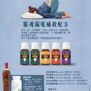 靈魂漏電補救配方