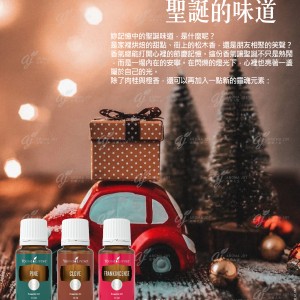 聖誕的味道