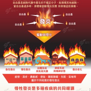 不可忽略的慢性發炎