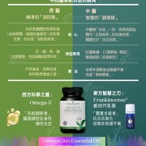 當西方科學遇見東方智慧 OmegaGize Essential DS™的雙重守護哲學