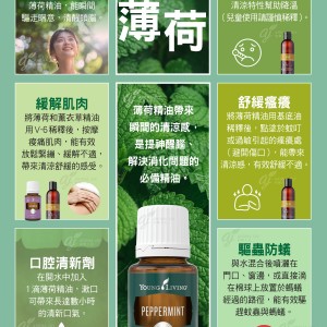 精油妙用-薄荷