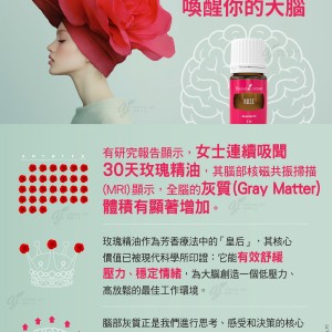 30天，用玫瑰喚醒你的大腦