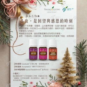 歲末三部曲：冬夜，是回望與感恩的時刻