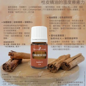 讓心與身都暖起來－桂皮精油的溫度療癒力