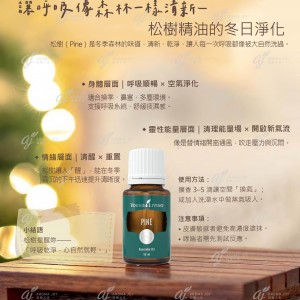 讓呼吸像森林一樣清新－松樹精油的冬日淨化