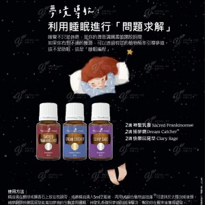 夢境導航：利用睡眠進行「問題求解」