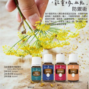 對抗能量吸血鬼防禦術