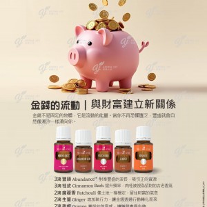 金錢的流動｜與財富建立新關係