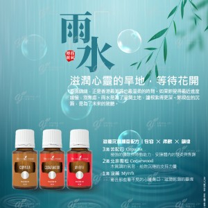 雨水節氣｜滋潤心靈的旱地，等待花開