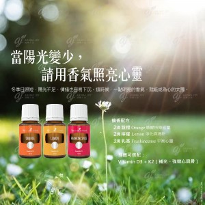 當陽光變少，請用香氣照亮心靈