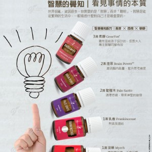 智慧的覺知｜看見事情的本質