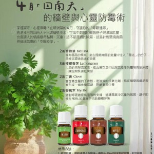 4 月「回南天」的牆壁與心靈防霉術