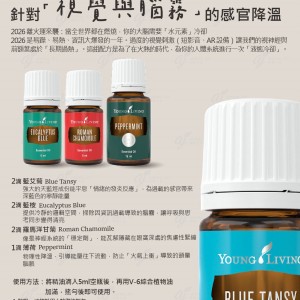 針對「視覺與腦霧」的感官降溫