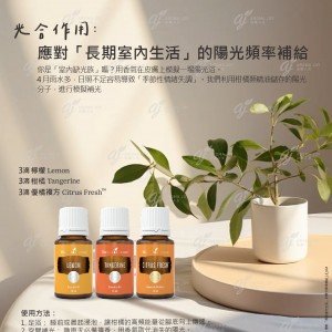 光合作用：應對「長期室內生活」的陽光頻率補給