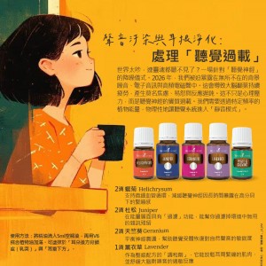 聲音汙染與耳根淨化：處理「聽覺過載」