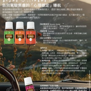 新手路感與陌生路況：告別駕駛焦慮的「心理穩定」導航