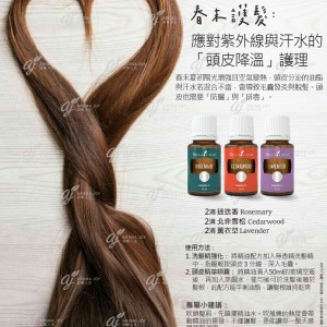 春末護髮：應對紫外線與汗水的「頭皮降溫」護理