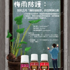 梅雨防護：對抗五月「隱形過敏原」的空間淨化術