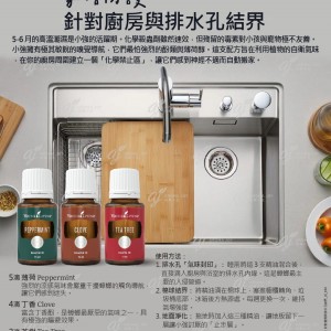 家居防護：針對廚房與排水孔結界