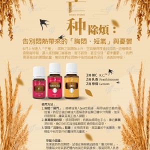 芒種除煩：告別悶熱帶來的「胸悶、短氣」與憂鬱