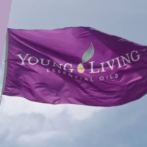 2025年12月各地區PV獎賞