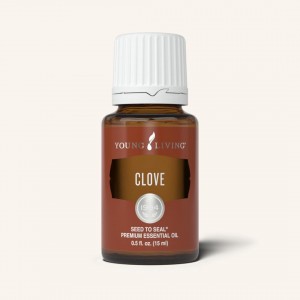 會員分享 : Clove 丁香(普)
