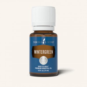 會員分享 : Wintergreen 冬青(普)