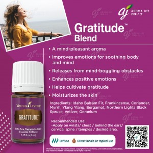 Gratitude 感恩