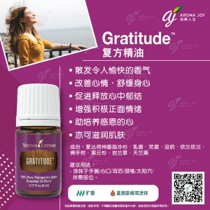 Gratitude 感恩