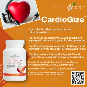 Cardiogize