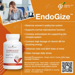 EndoGize