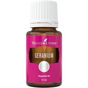 天竺葵精油 Geranium