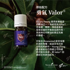 原始配方 勇氣 Valor