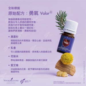 全新標籤 原始配方：勇氣 Valor