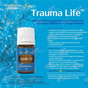 Trauma Life 重生
