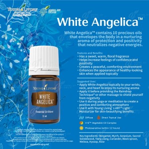 White Angelica 白使者