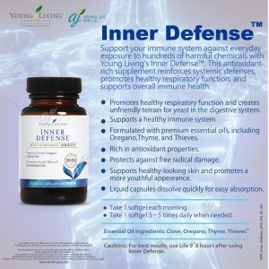 Inner Defense 