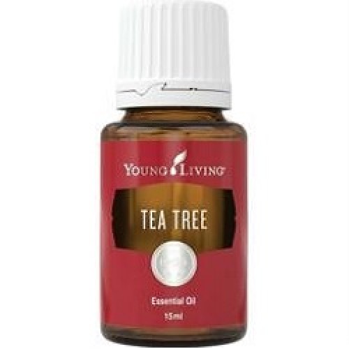 茶樹精油 Tea Tree Essential Oil 15ml