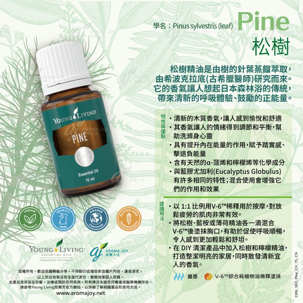 Pine 松樹