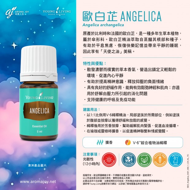 Angelica 歐白芷