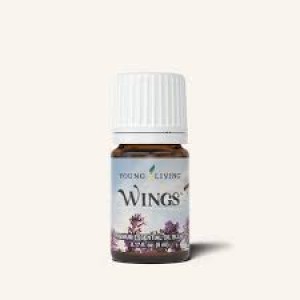 翅膀 Wings