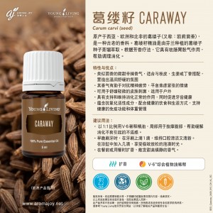 Caraway 葛縷籽
