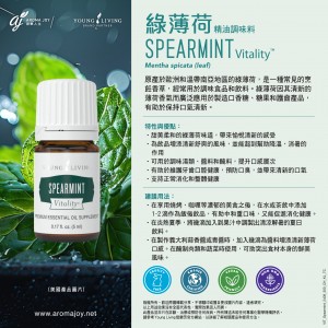 SPEARMINT Vitality 綠薄荷精油調味料