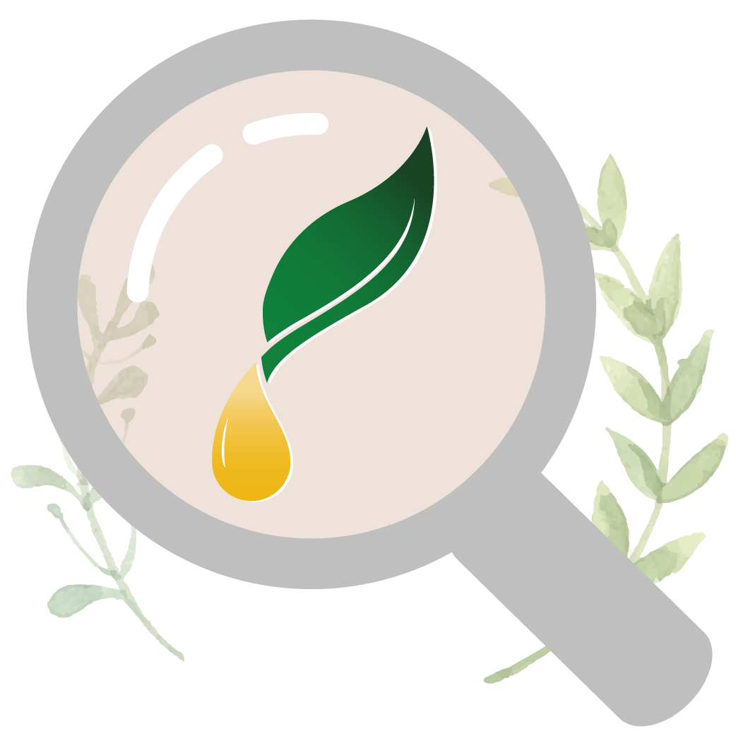 YOUNG LIVING 產品搜索