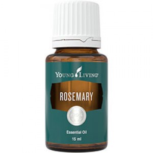 迷迭香精油 Rosemary