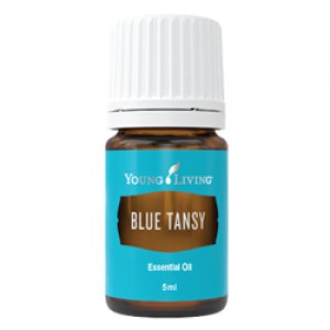 藍艾菊精油 Blue Tansy